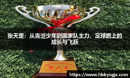 赛事情报平台