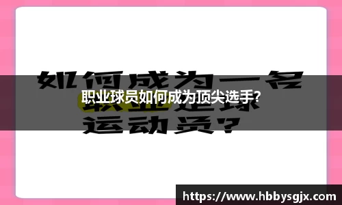 赛事情报官网